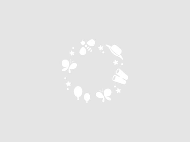 （開催終了）土壌動物観察会