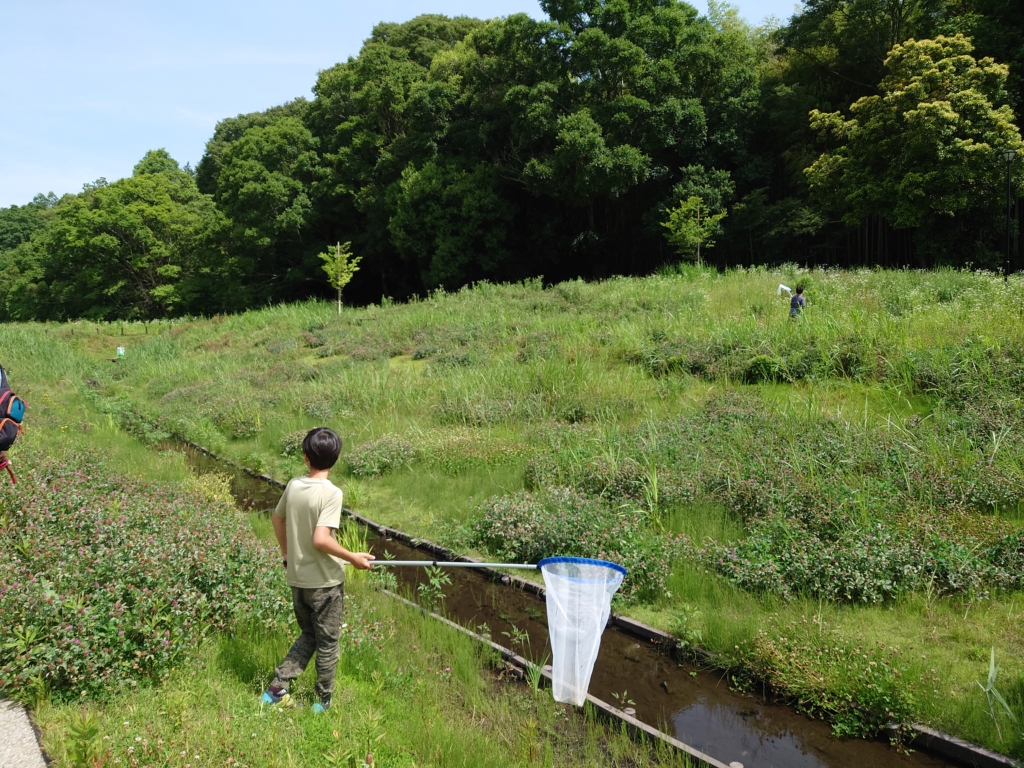（開催終了）【講座１】ランドスケープアプローチ〜遠藤のヒト・モノ・コトをつなげよう