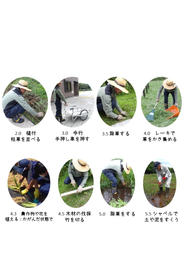（開催終了）【講座２】公園とリハビリテーション