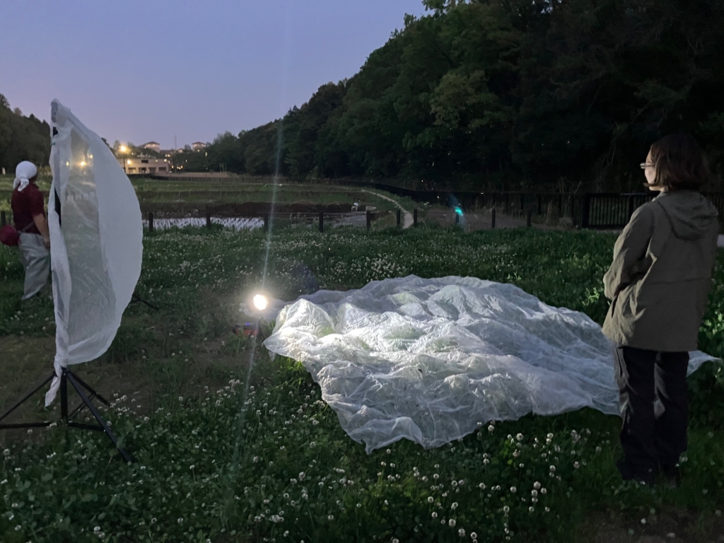（開催終了）夜の生きもの観察会