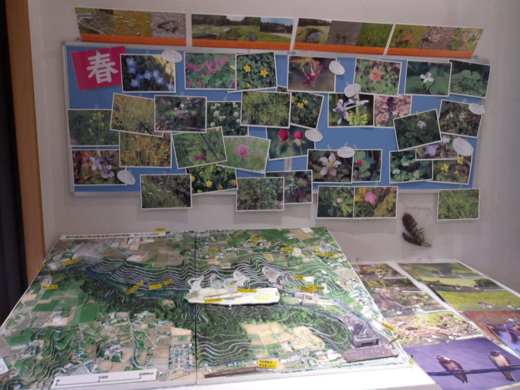 常設展示コーナー