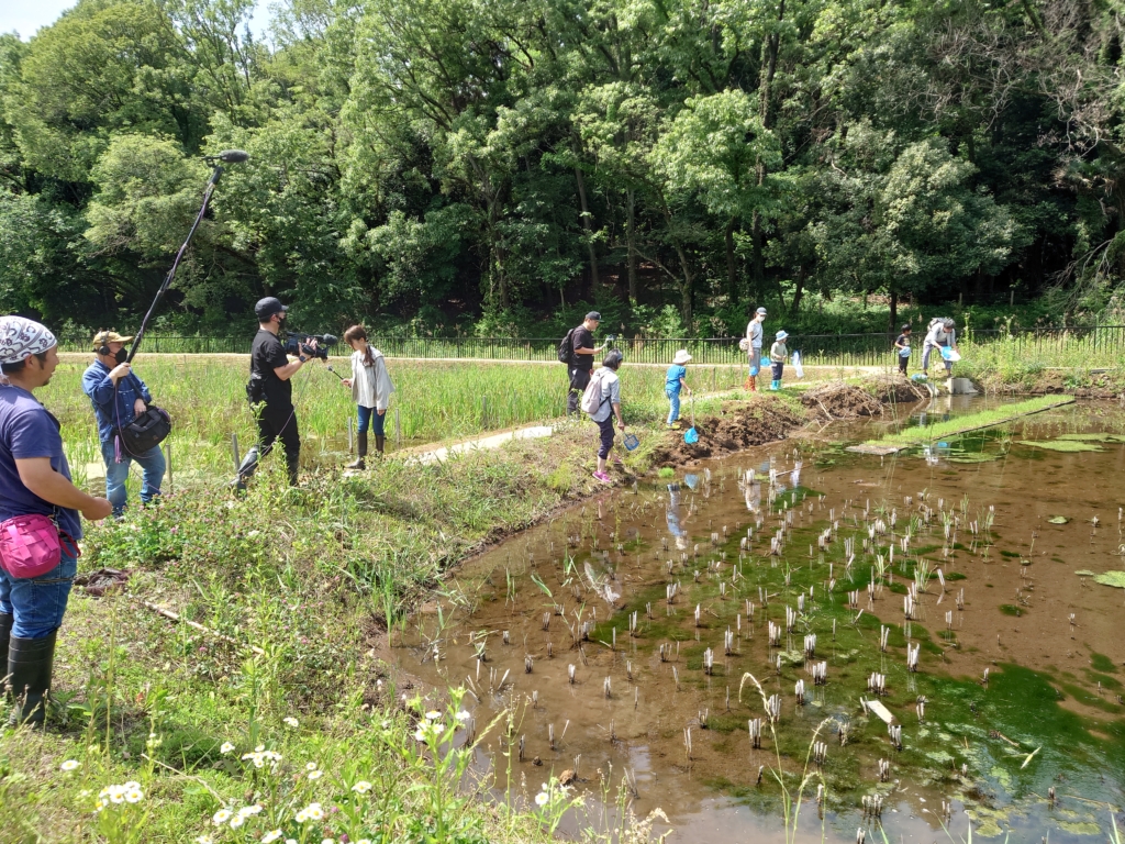 【開催終了】谷戸の生きもの観察会