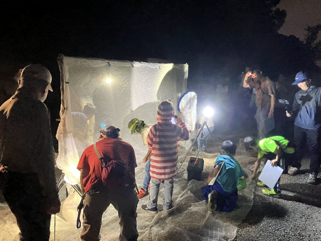 【受付終了】夜の生きもの観察会 その1