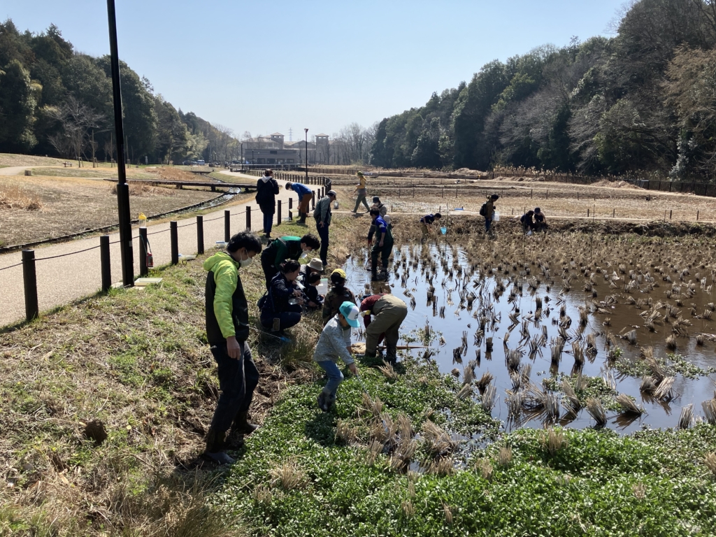 【開催終了】谷戸の生きもの観察会