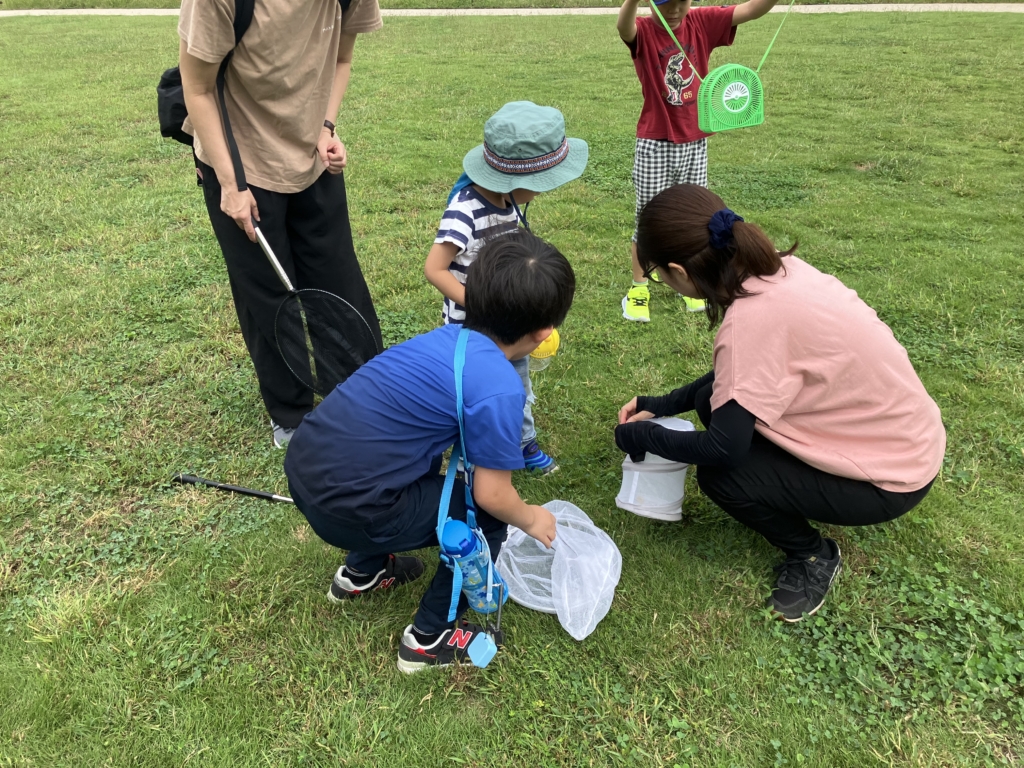 【開催終了】昆虫観察会 その2