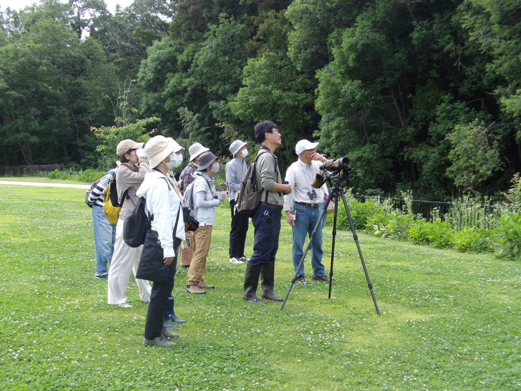 【受付終了】初夏の野鳥観察会