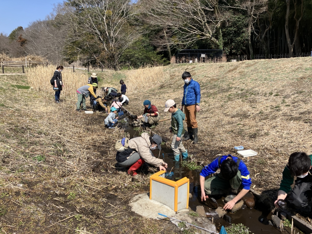 【5月1日（金）受付開始】谷戸の生きもの観察会